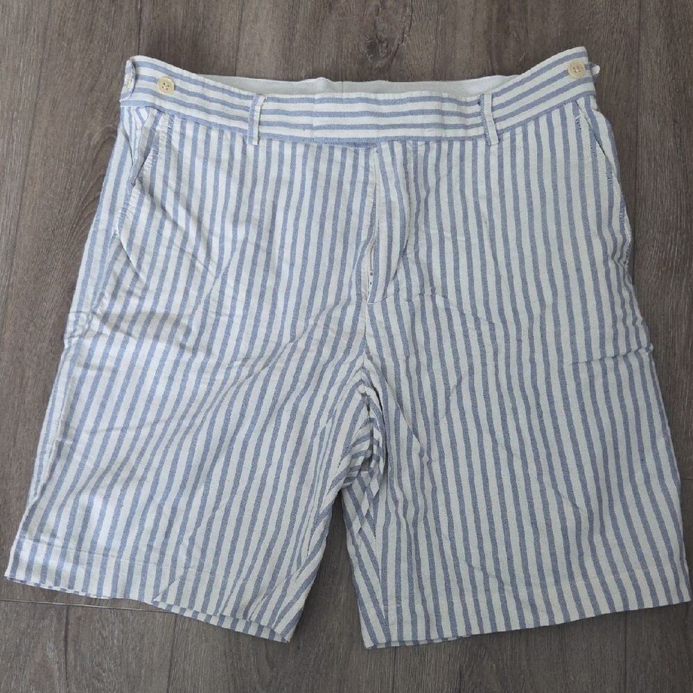 Steven Alan Blue and White Striped Men's Shorts Size 34